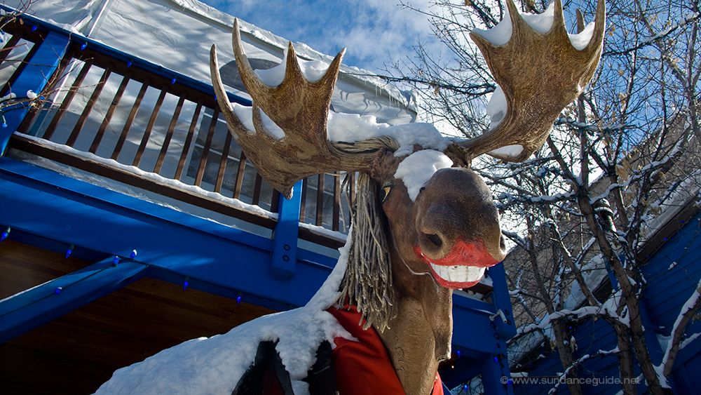 Picture of a smiling moose statue with red lipstick